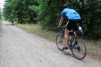 Ein Rennradfahrer kämpft sich einen sandigen Waldweg entlang